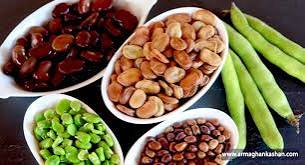تصویر 3 از خرید اینترنتی کنسرو باقلا 350 گرمی + قیمت عمده و به صرفه